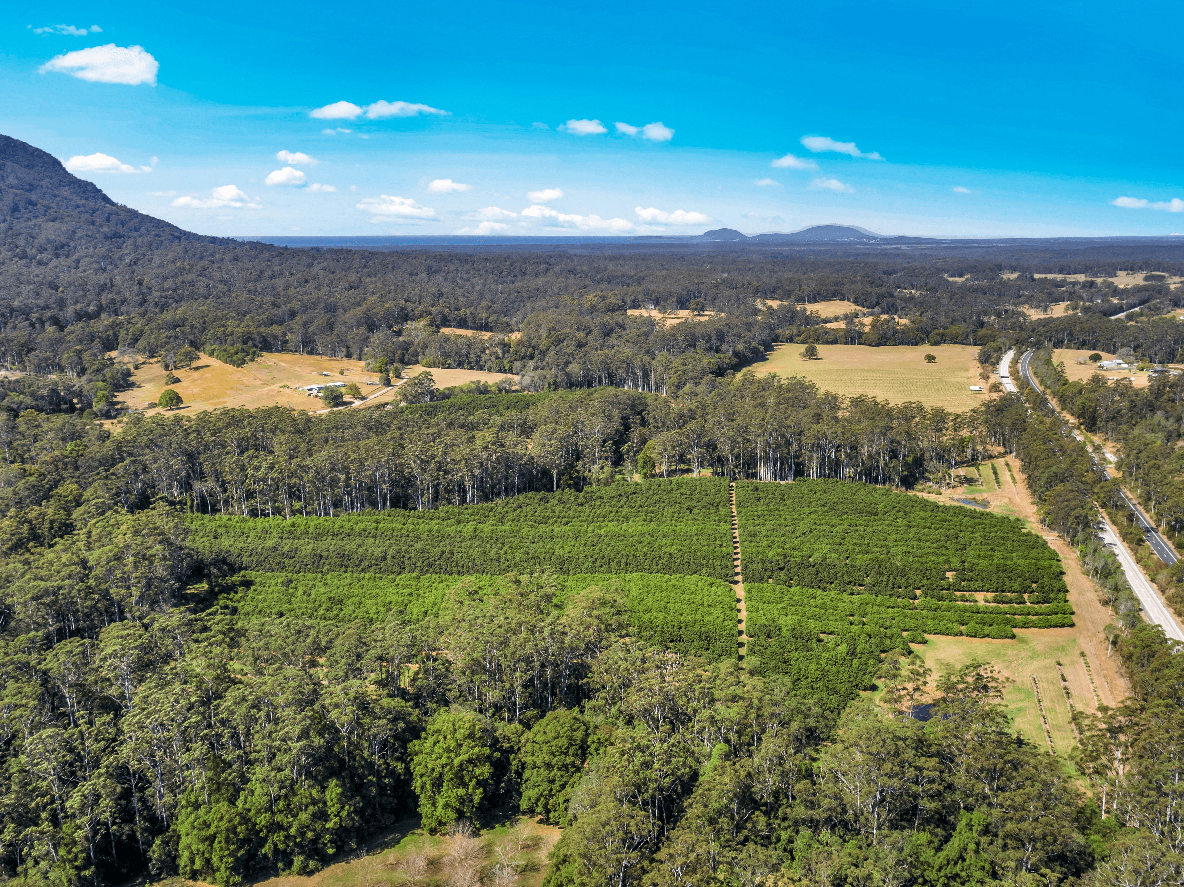 Pacific Highway, Eungai Creek, NSW 2441