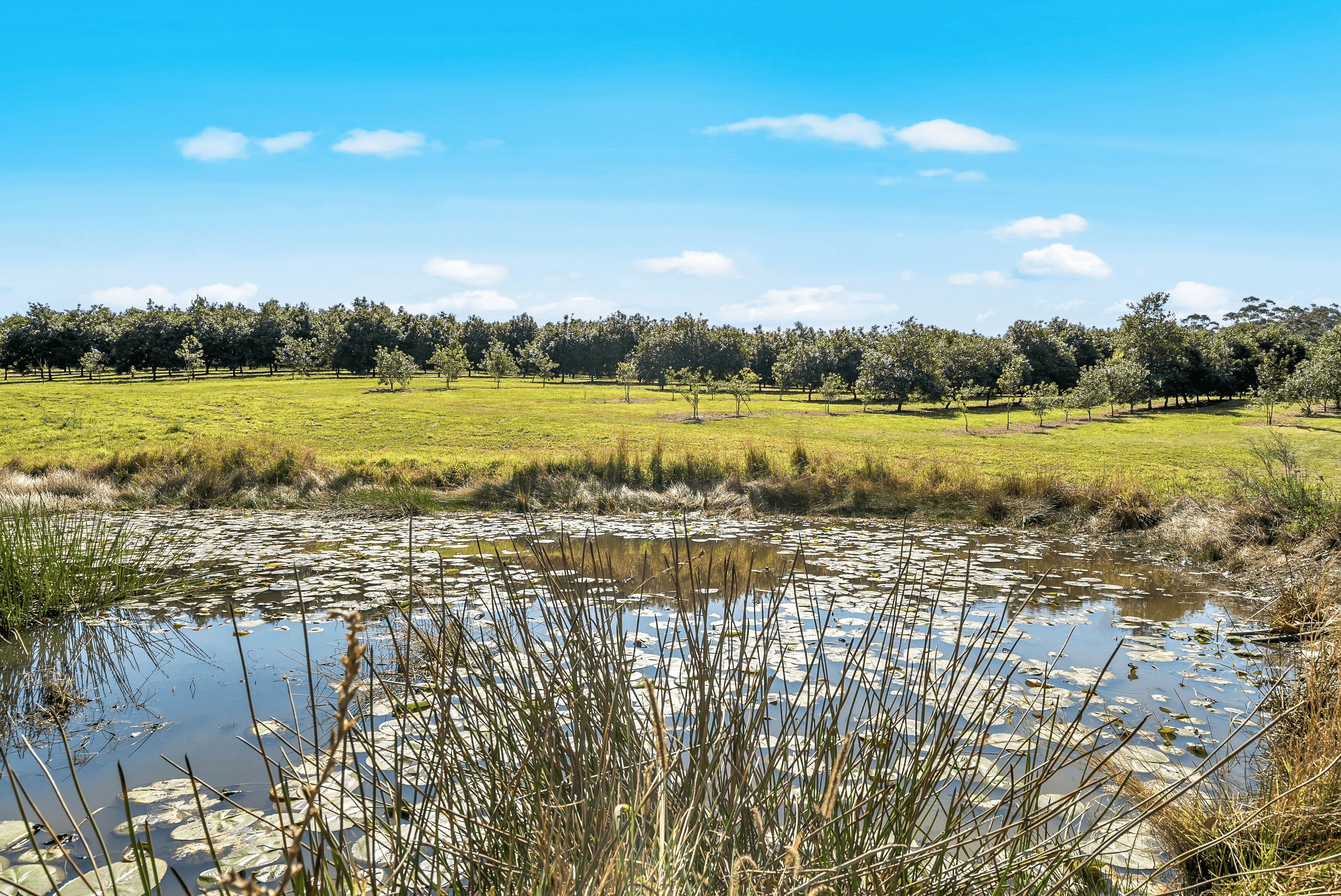 Pacific Highway, Eungai Creek, NSW 2441