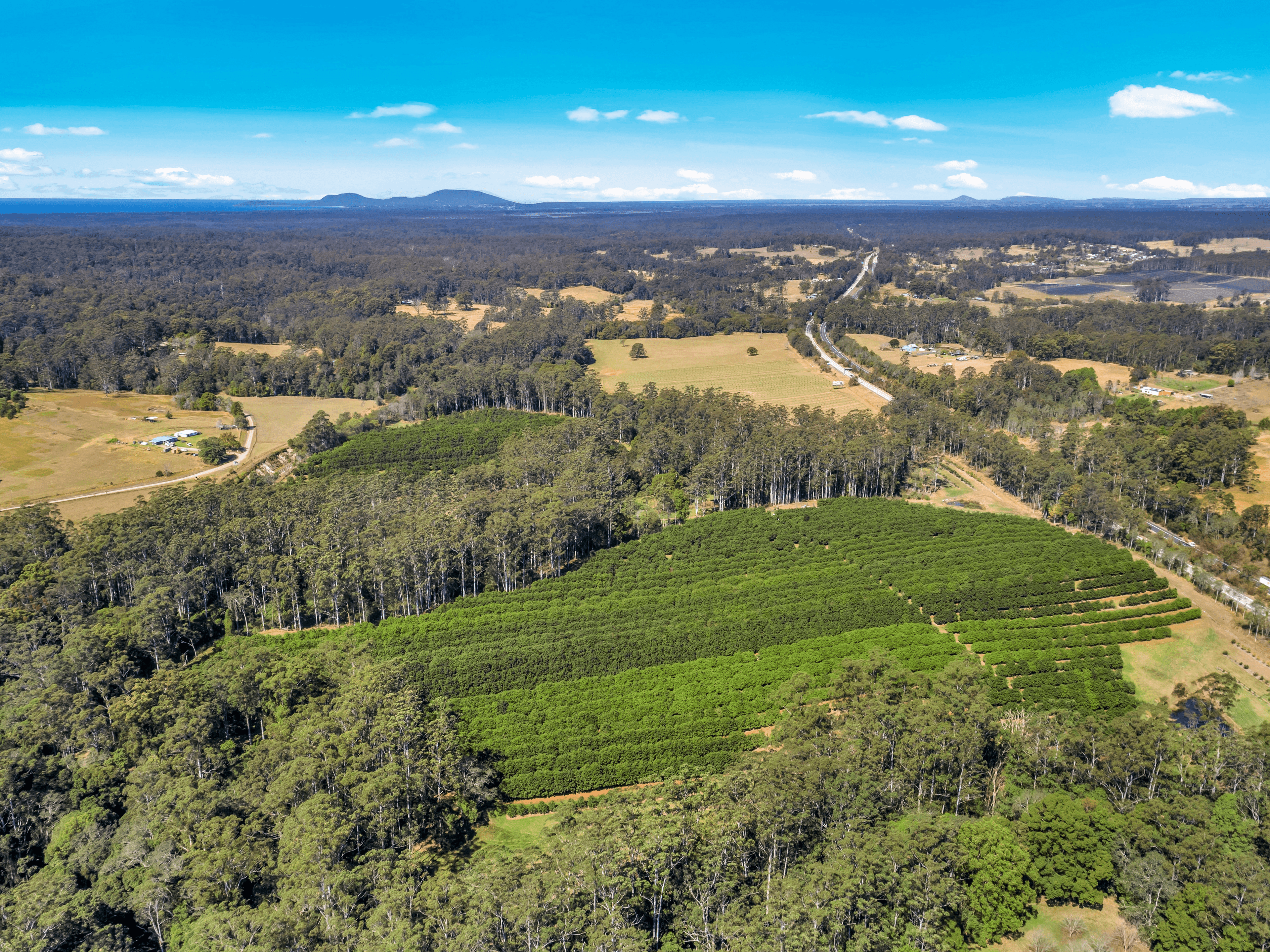 Pacific Highway, Eungai Creek, NSW 2441