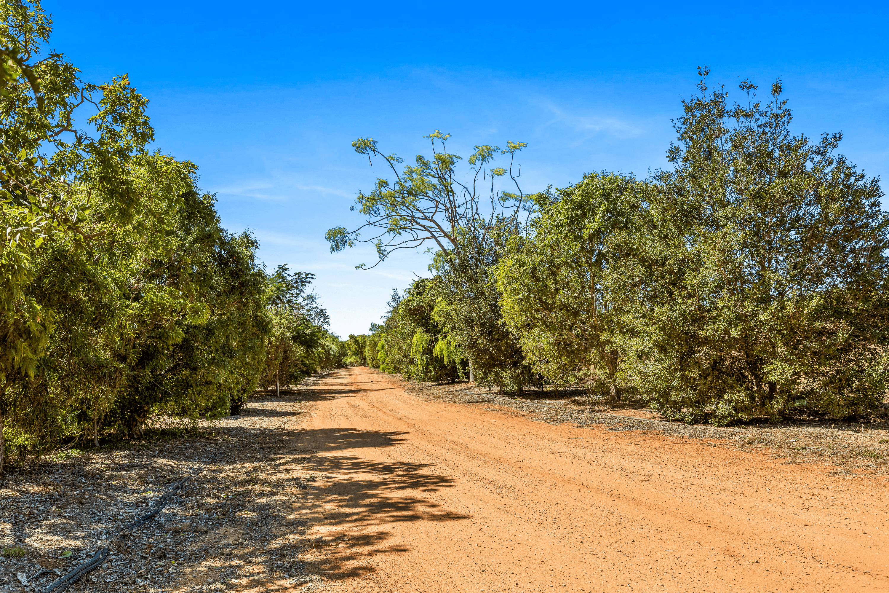 24 Yamashita Street, ROEBUCK, WA 6725