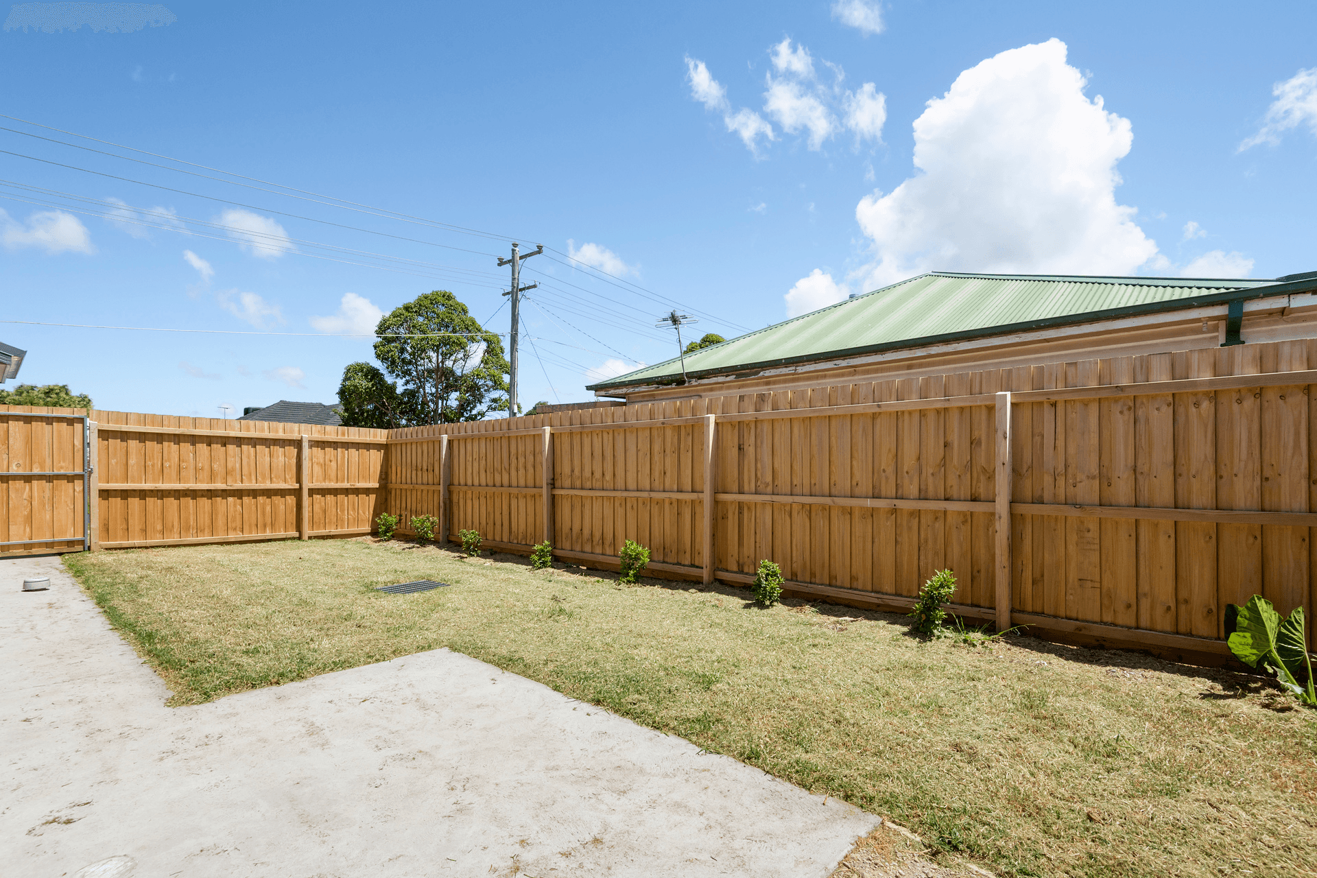 59 Oxford Street, Whittington, VIC 3219