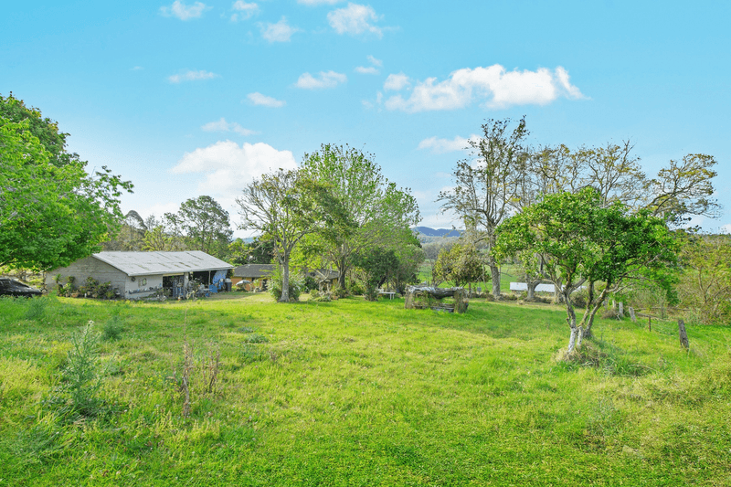 1165 Pappinbarra Road, HOLLISDALE, NSW 2446