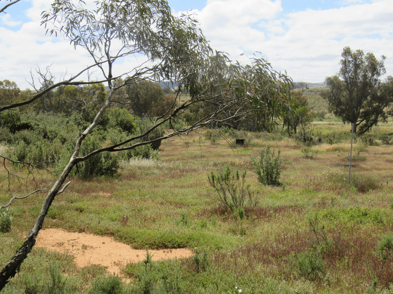 11 School Terrace, ORROROO, SA 5431