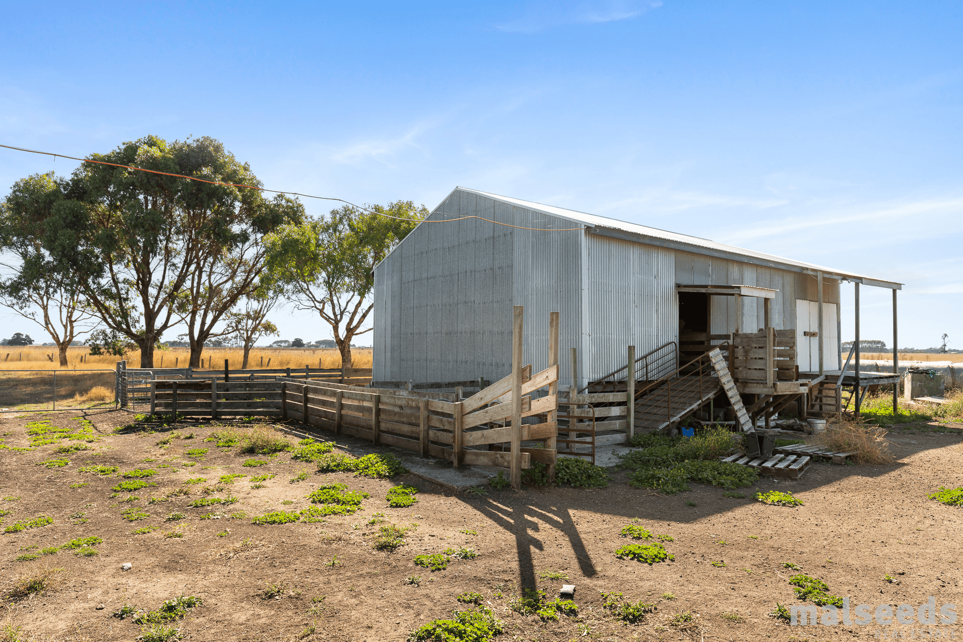 134 Beaton Road, Tantanoola, SA 5280