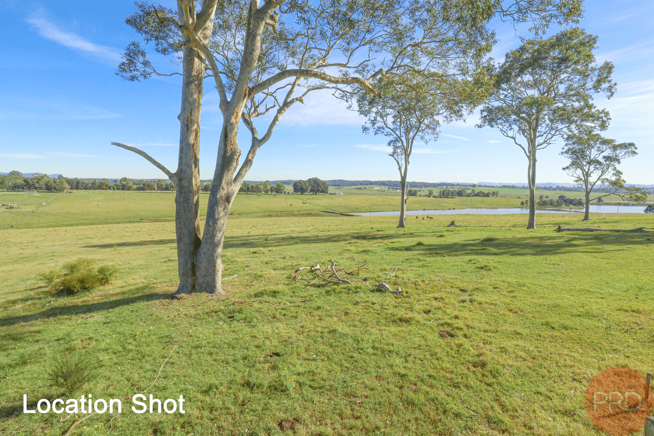 82 Ryans Road, GILLIESTON HEIGHTS, NSW 2321