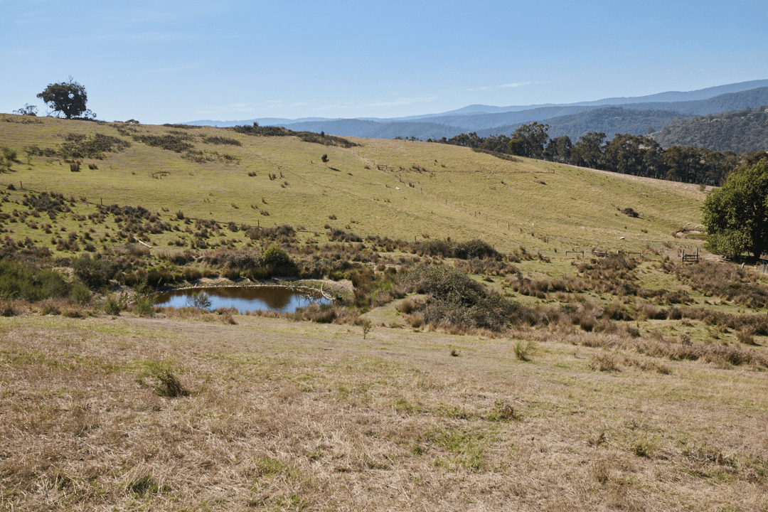 2029 Melba Highway, DIXONS CREEK, VIC 3775