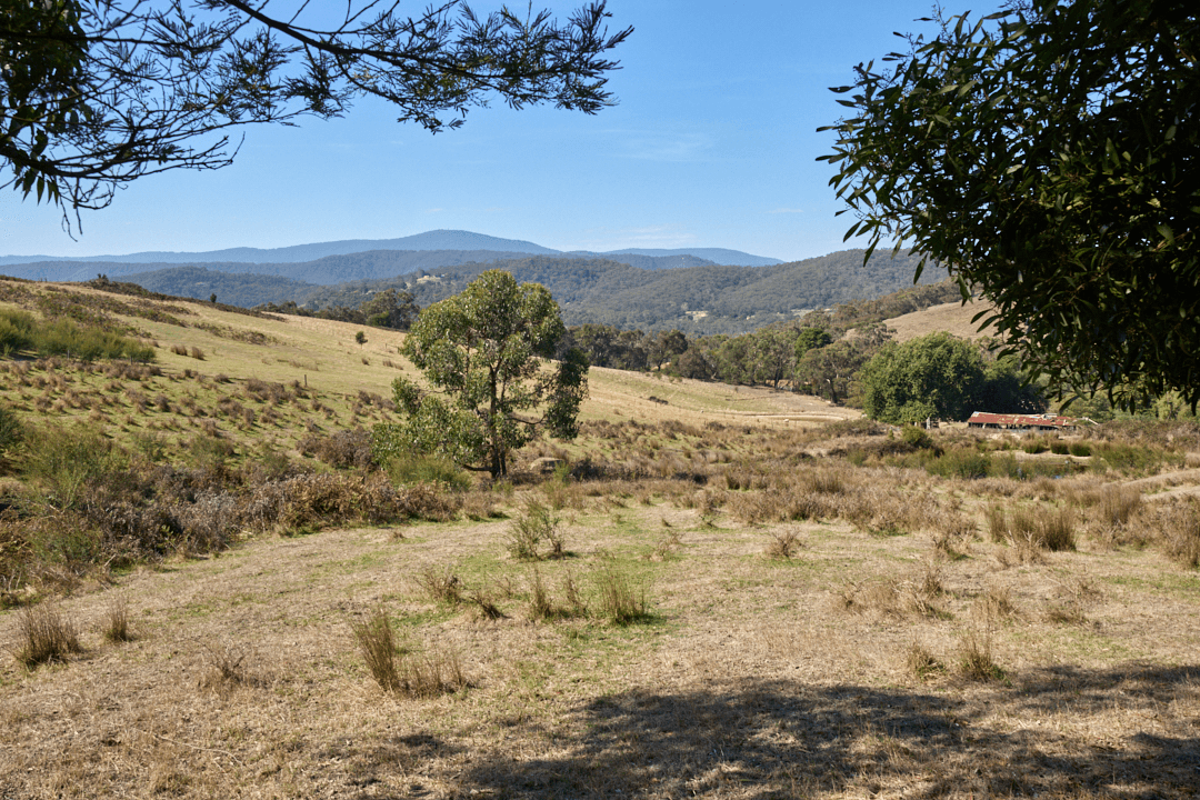 2029 Melba Highway, DIXONS CREEK, VIC 3775