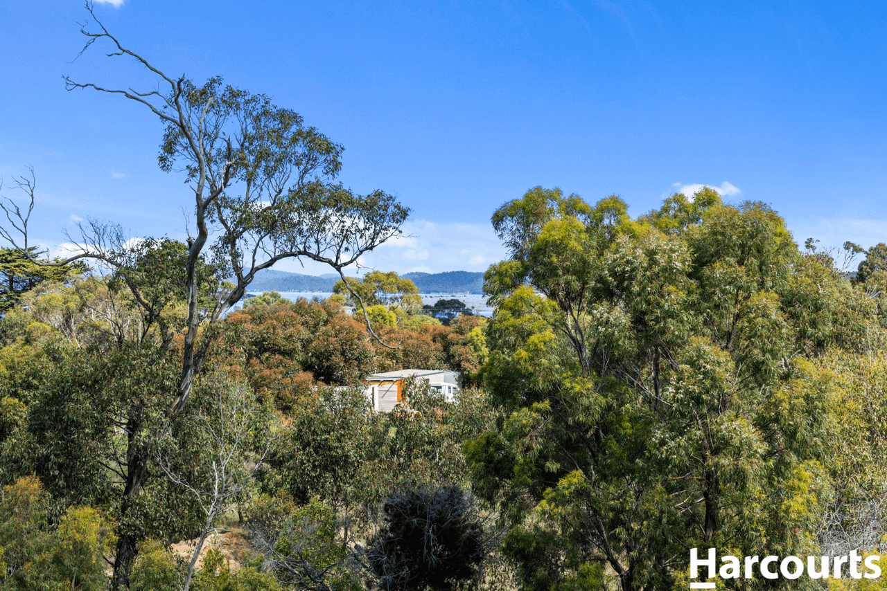 11 Clark Street, DUNALLEY, TAS 7177