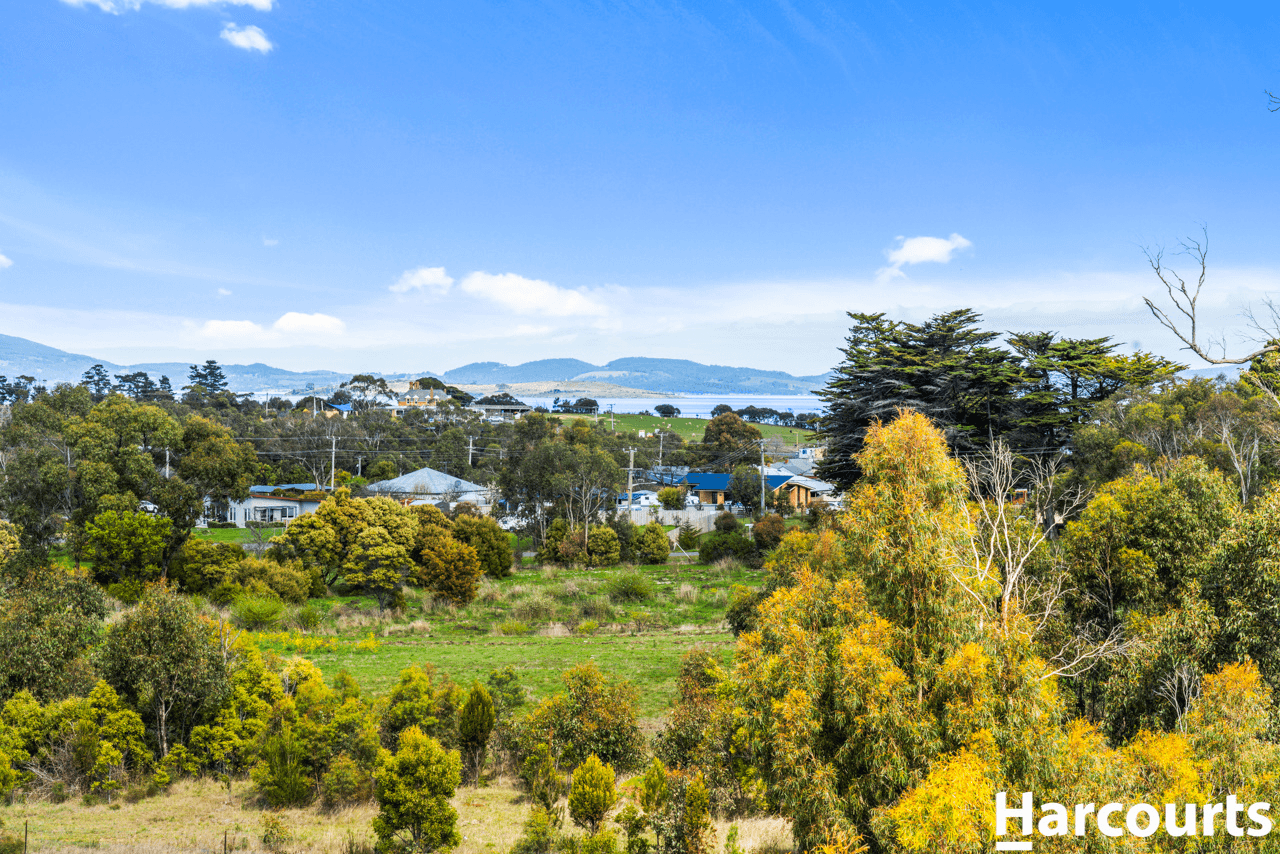 11 Clark Street, DUNALLEY, TAS 7177