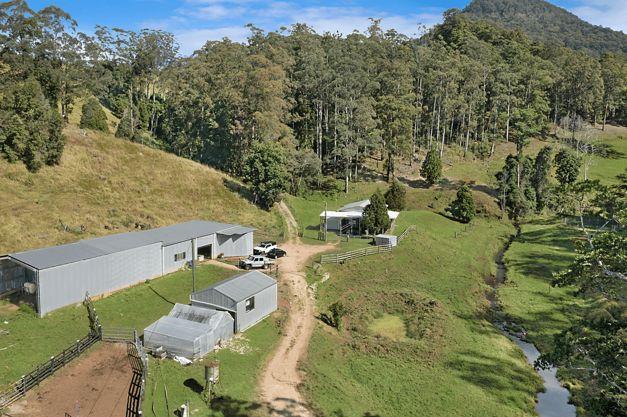 189 Hopkins Creek Road, HOPKINS CREEK, NSW 2484