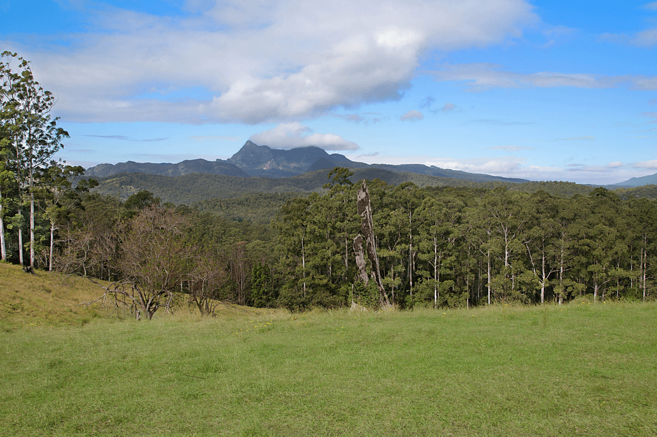 189 Hopkins Creek Road, HOPKINS CREEK, NSW 2484