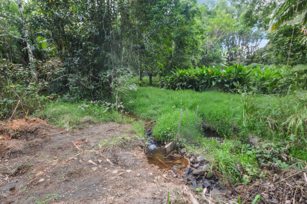 210 Seres Road, MENA CREEK, QLD 4871
