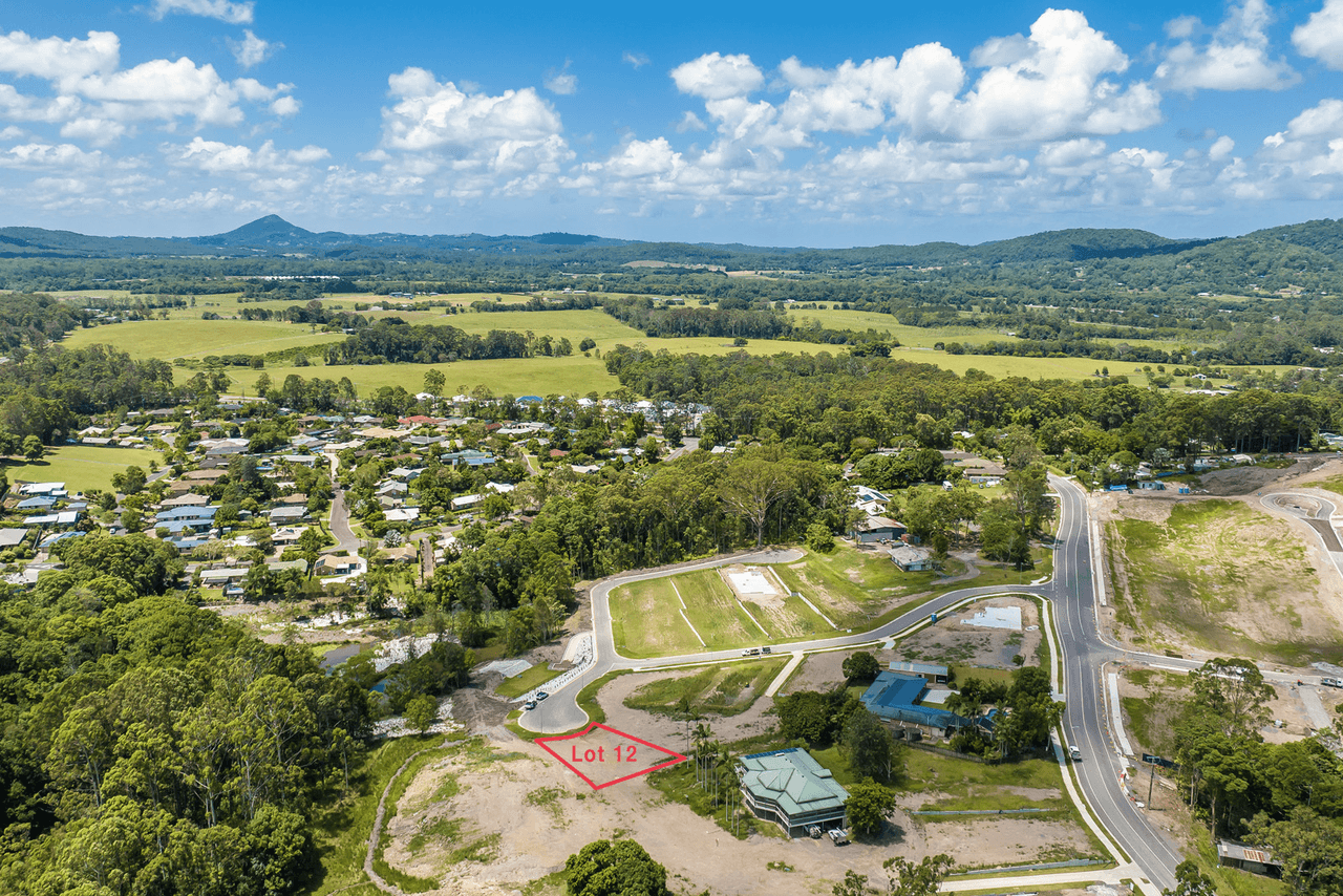 17 Sunshine Grove Place, Yandina, QLD 4561