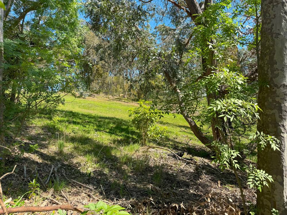 Lot 3 Pole Road, IRONBANK, SA 5153