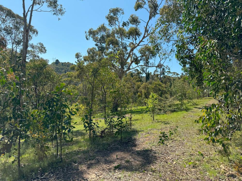 Lot 3 Pole Road, IRONBANK, SA 5153