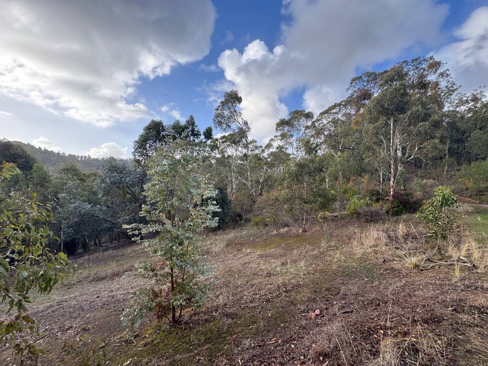 Lot 3 Pole Road, IRONBANK, SA 5153