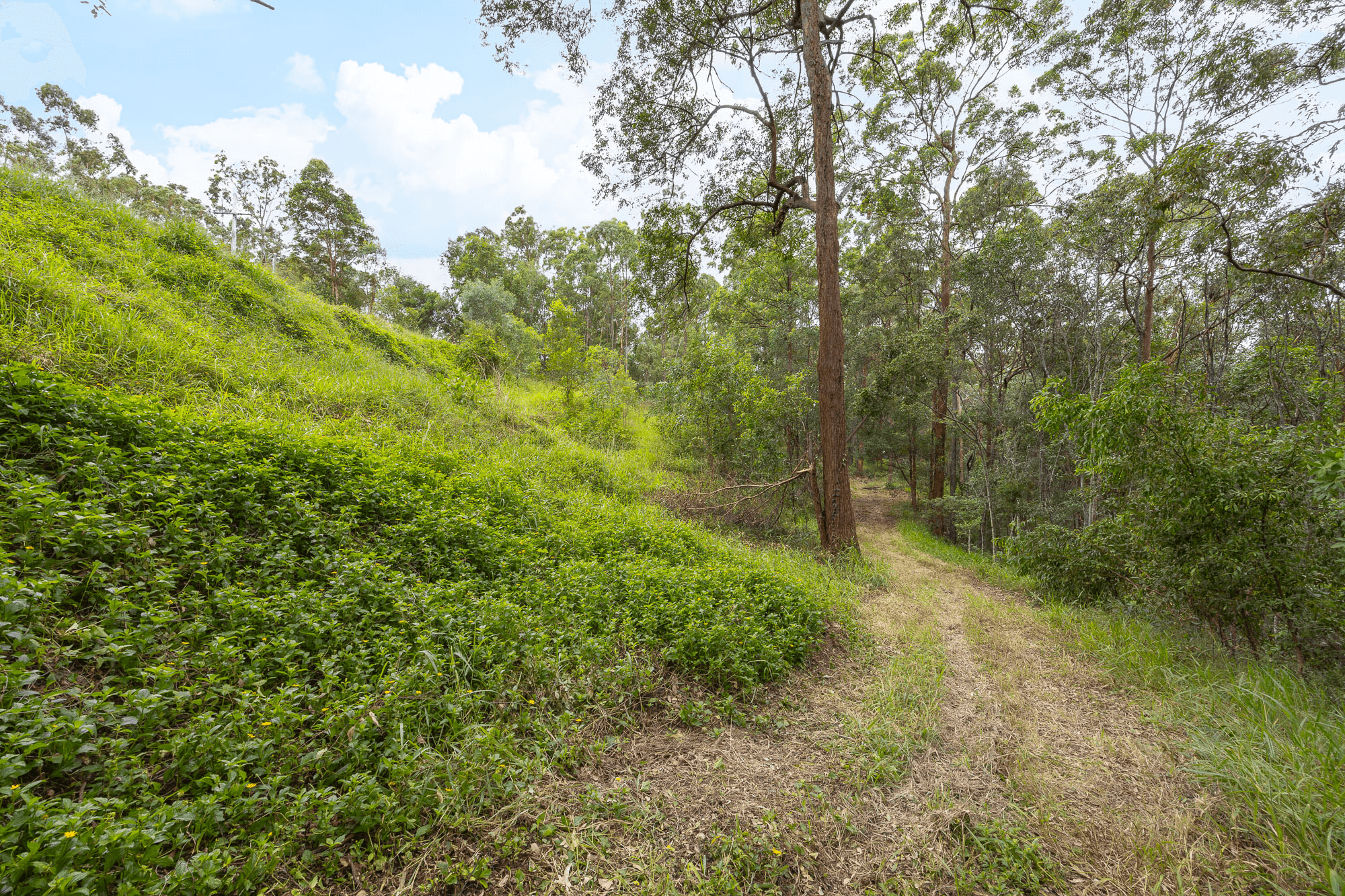 5 Cashs Road, Cashmere, QLD 4500