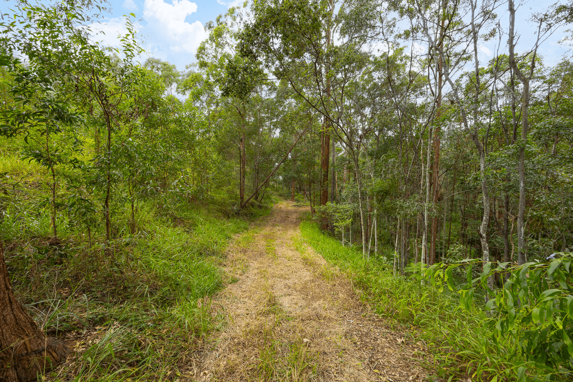 5 Cashs Road, Cashmere, QLD 4500
