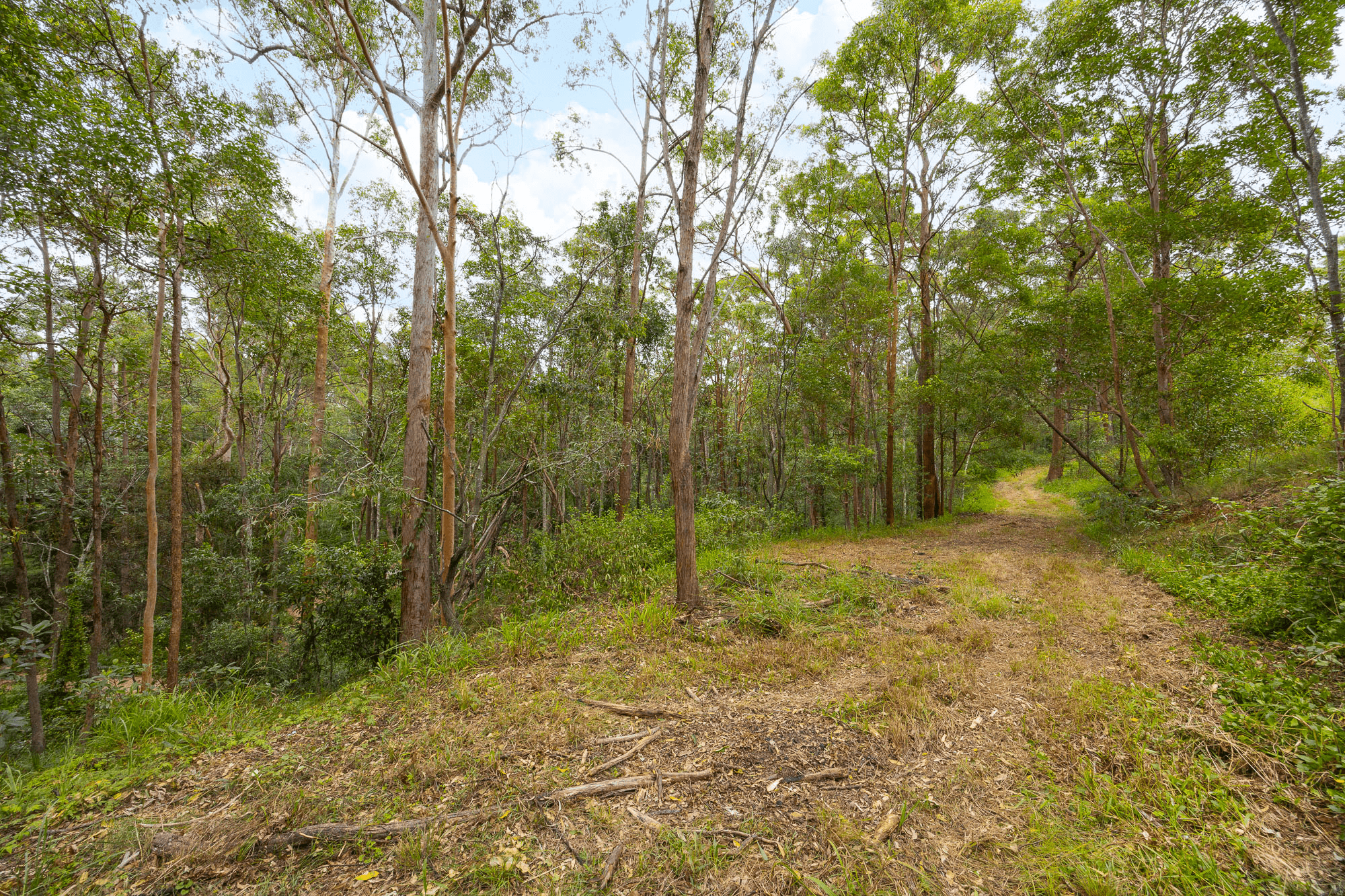 5 Cashs Road, Cashmere, QLD 4500