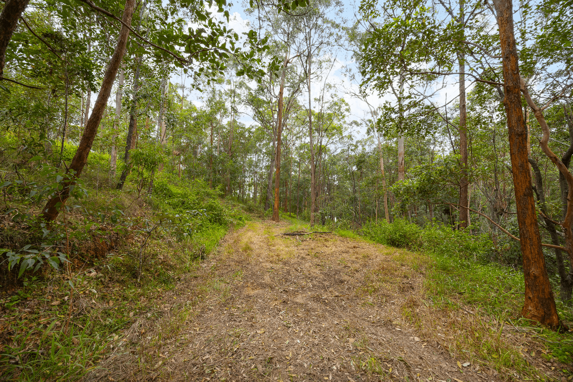 5 Cashs Road, Cashmere, QLD 4500