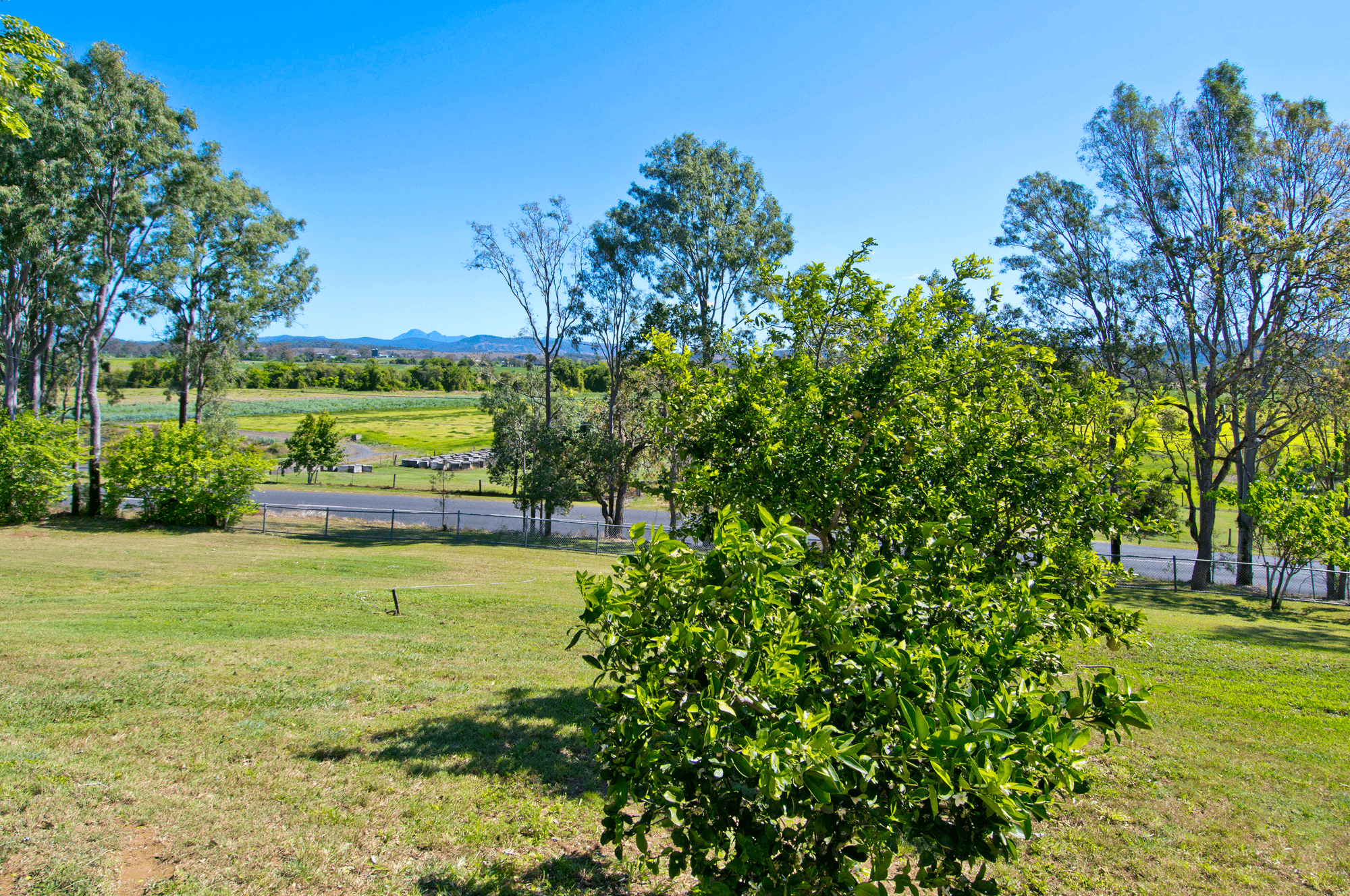 75 Christmas Creek Road, LARAVALE, QLD 4285