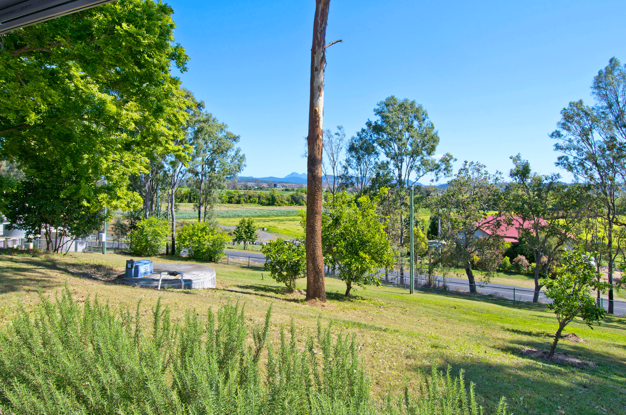 75 Christmas Creek Road, LARAVALE, QLD 4285