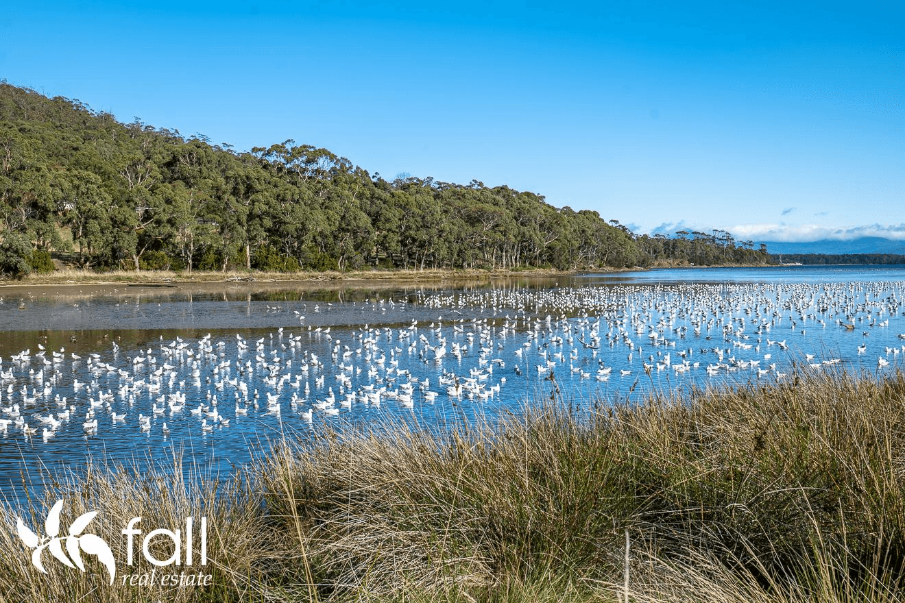 4526 Bruny Island Main Road, LUNAWANNA, TAS 7150