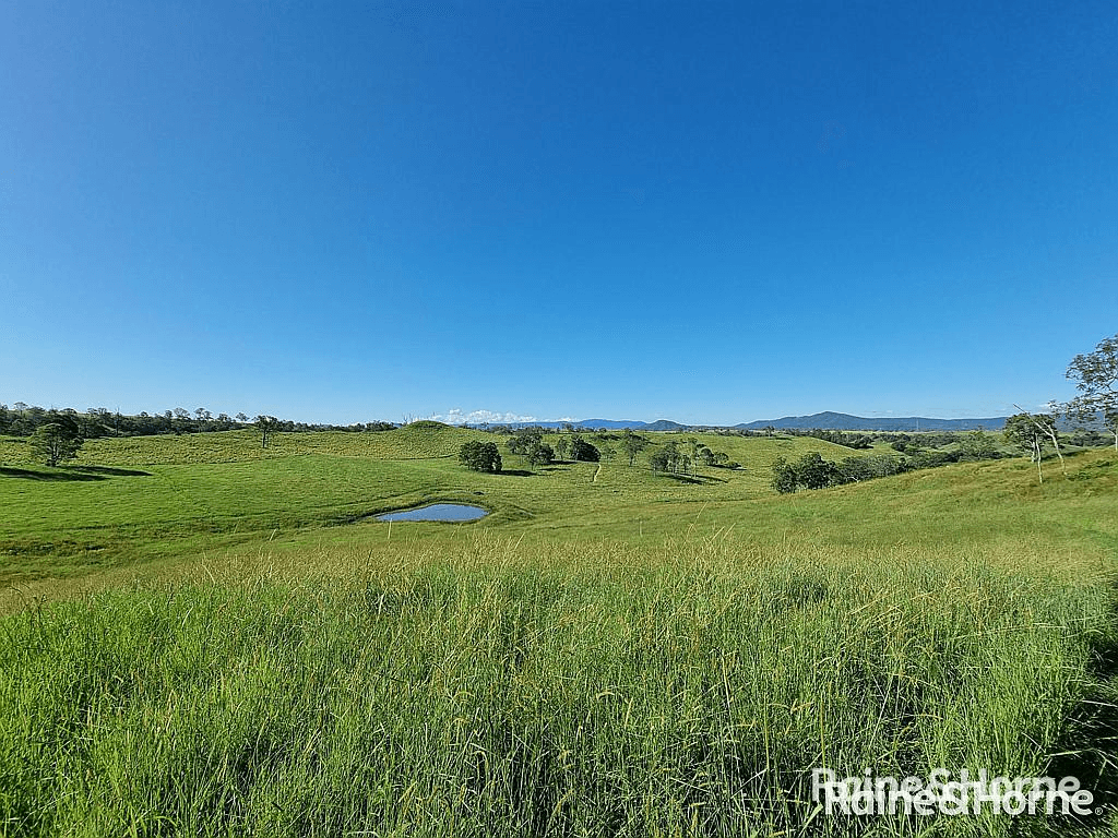 93 Ellems Road, Edenville via, KYOGLE, NSW 2474