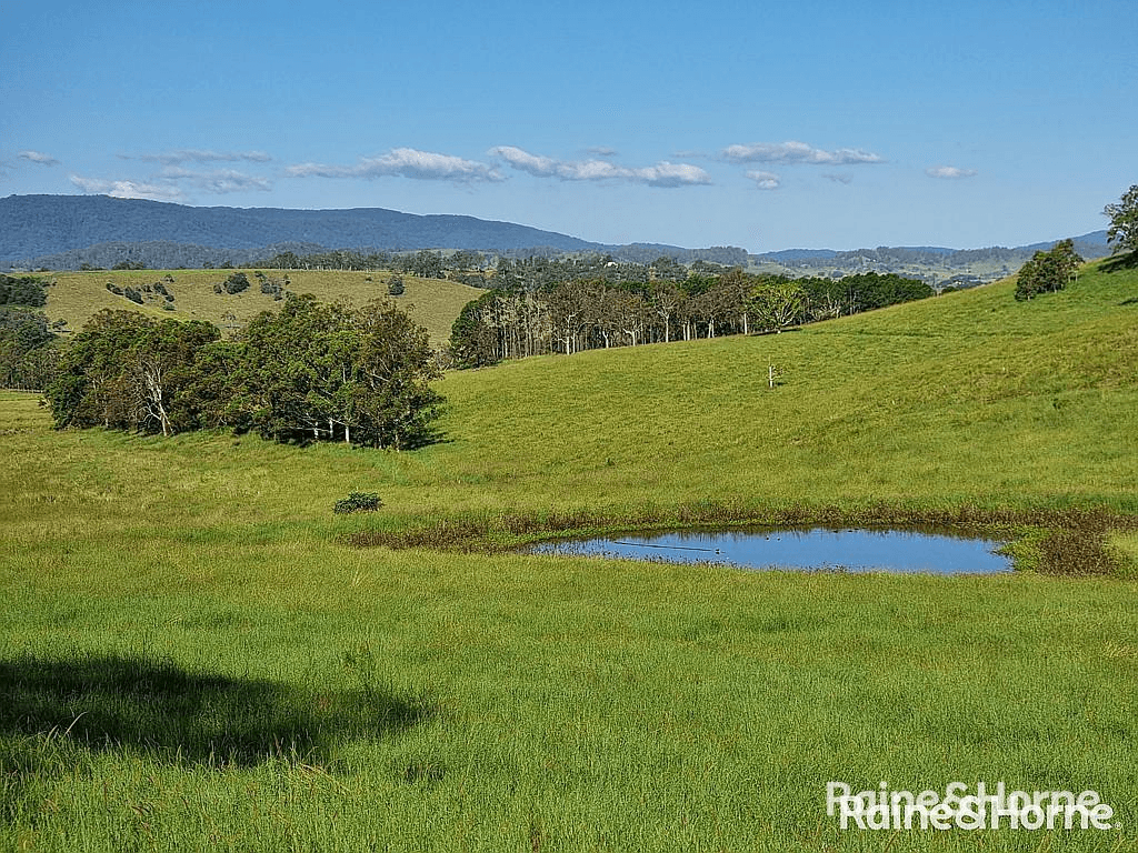 93 Ellems Road, Edenville via, KYOGLE, NSW 2474