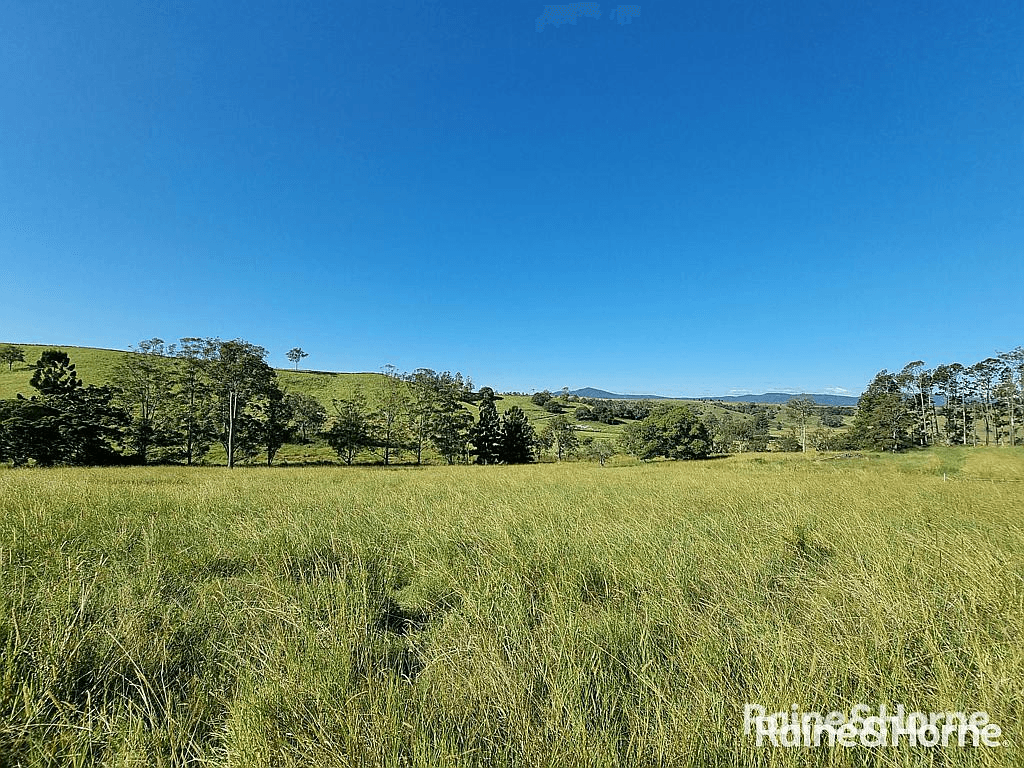 93 Ellems Road, Edenville via, KYOGLE, NSW 2474