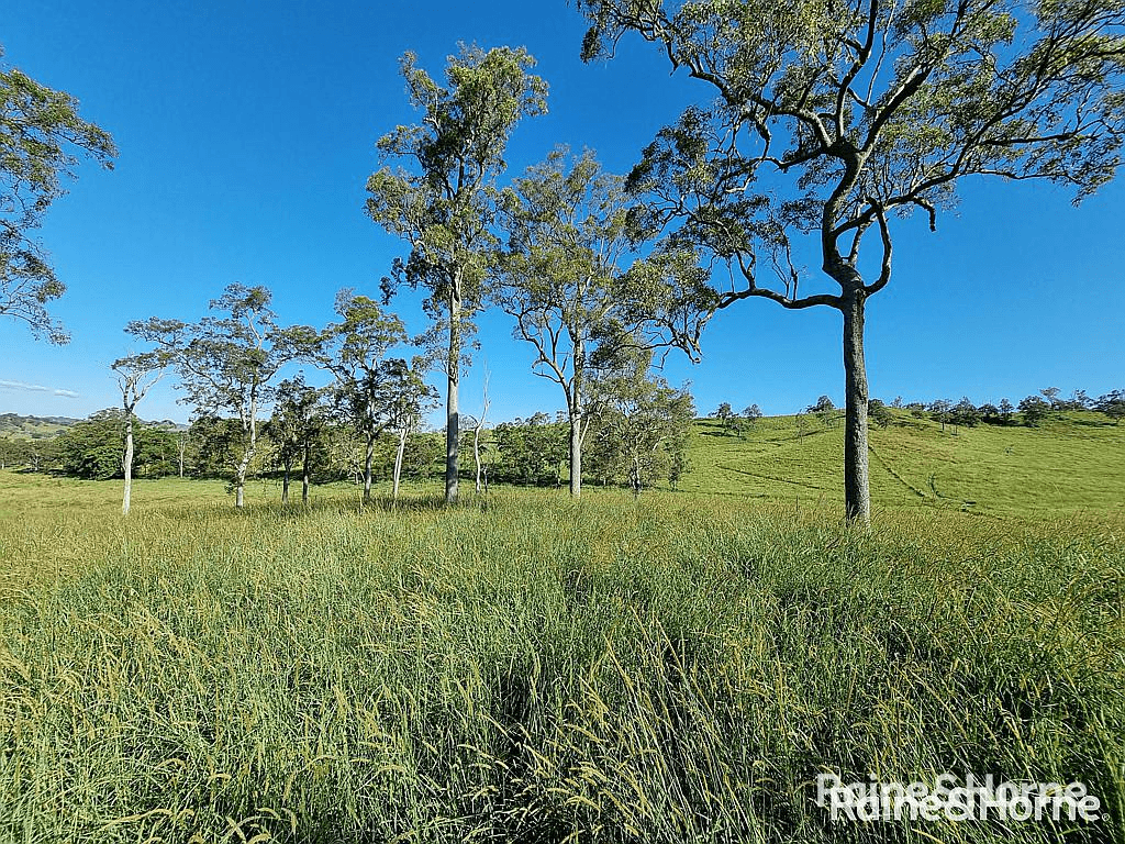 93 Ellems Road, Edenville via, KYOGLE, NSW 2474