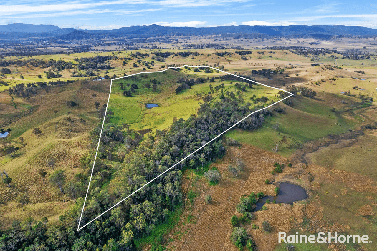 93 Ellems Road, Edenville via, KYOGLE, NSW 2474