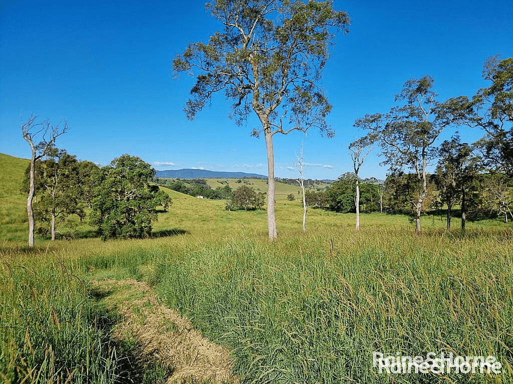 93 Ellems Road, Edenville via, KYOGLE, NSW 2474