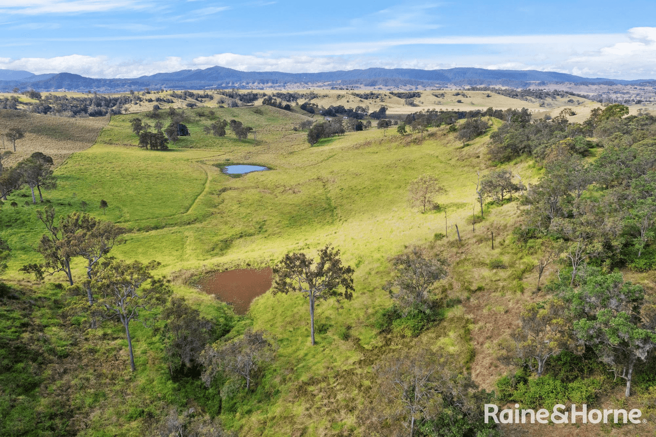 93 Ellems Road, Edenville via, KYOGLE, NSW 2474