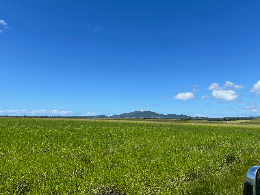 Bruce Highway, DAVESON, QLD 4855