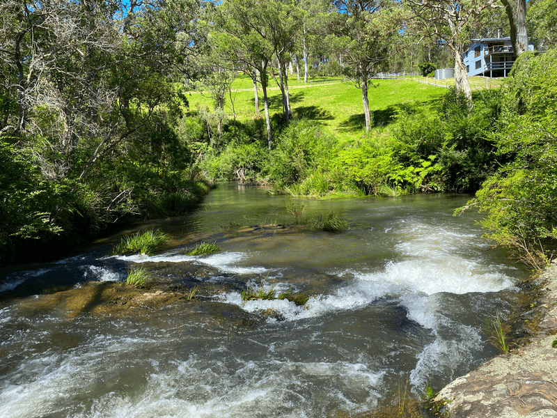 626 Deer Vale Road, DORRIGO, NSW 2453