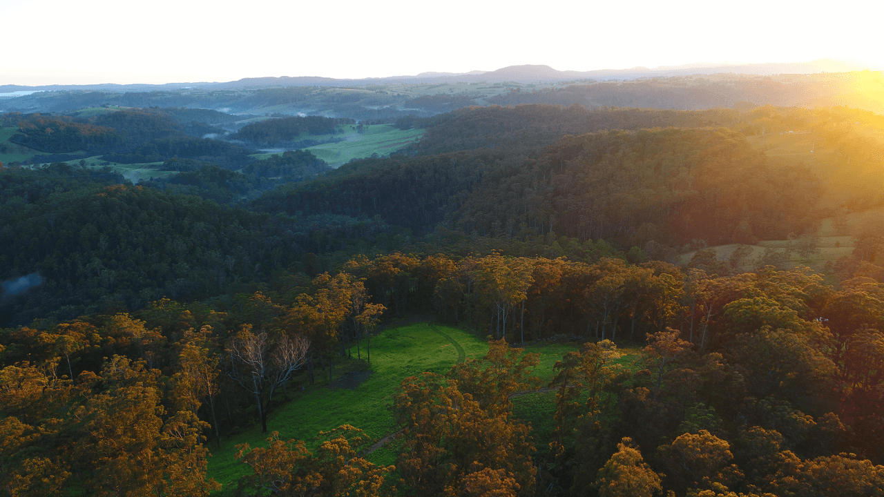 626 Deer Vale Road, DORRIGO, NSW 2453