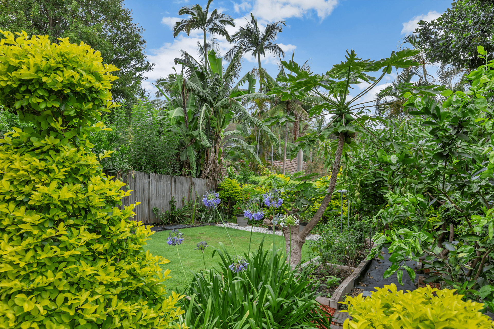 38 Chapman Street, CHAPEL HILL, QLD 4069