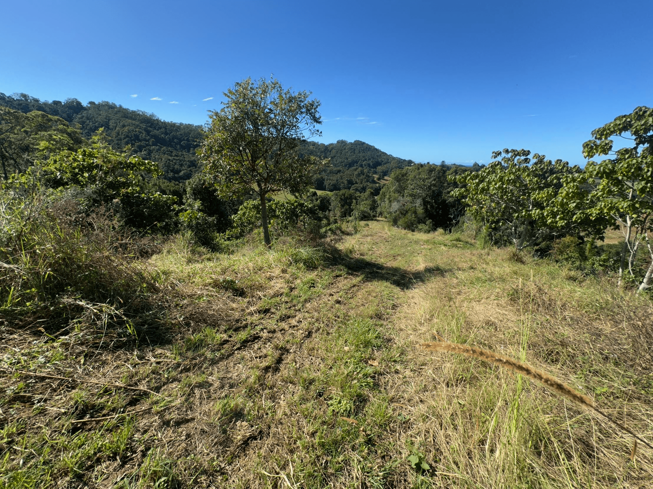 175 Kielys Road, Mooball, NSW 2483