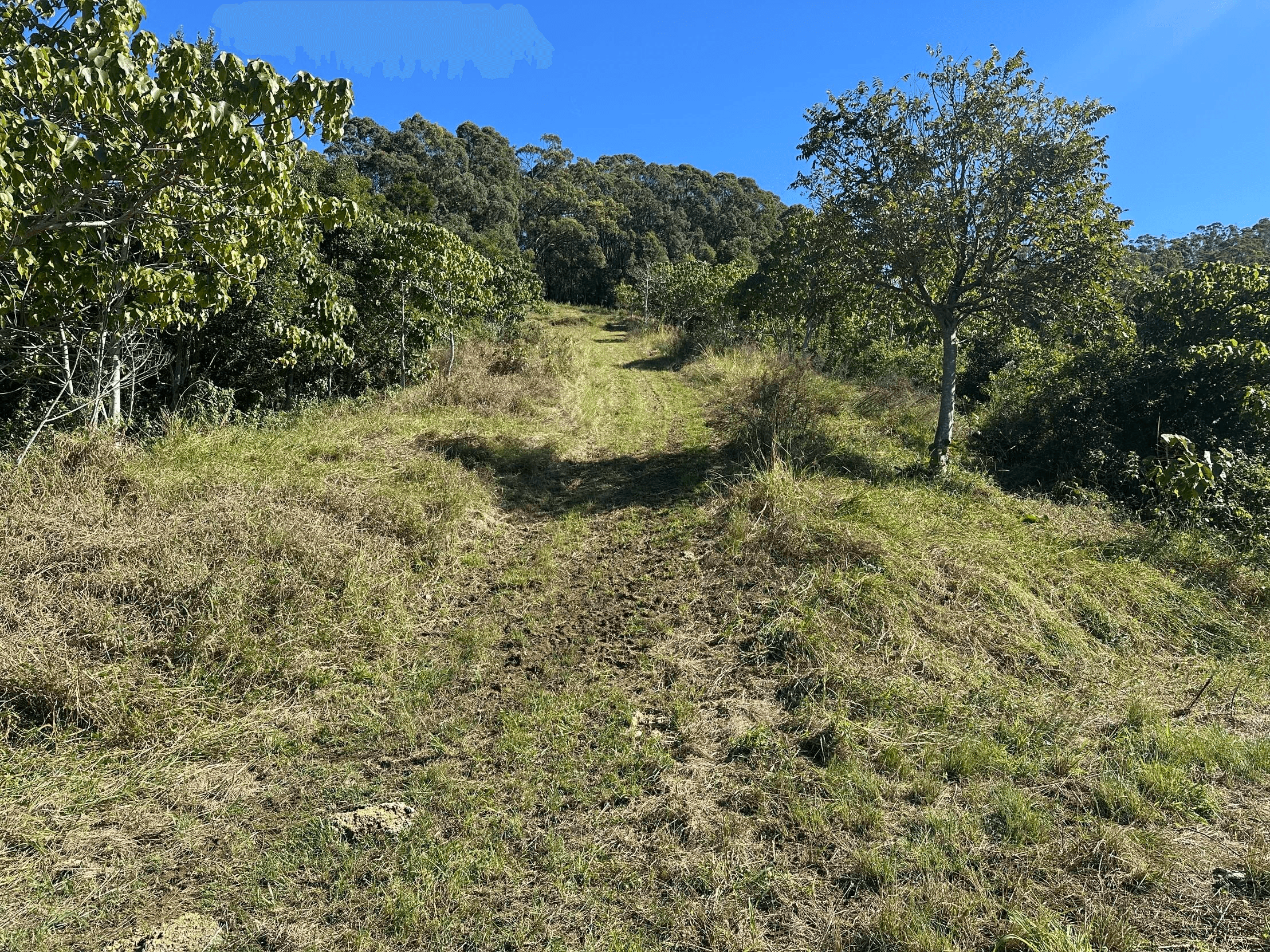 175 Kielys Road, Mooball, NSW 2483