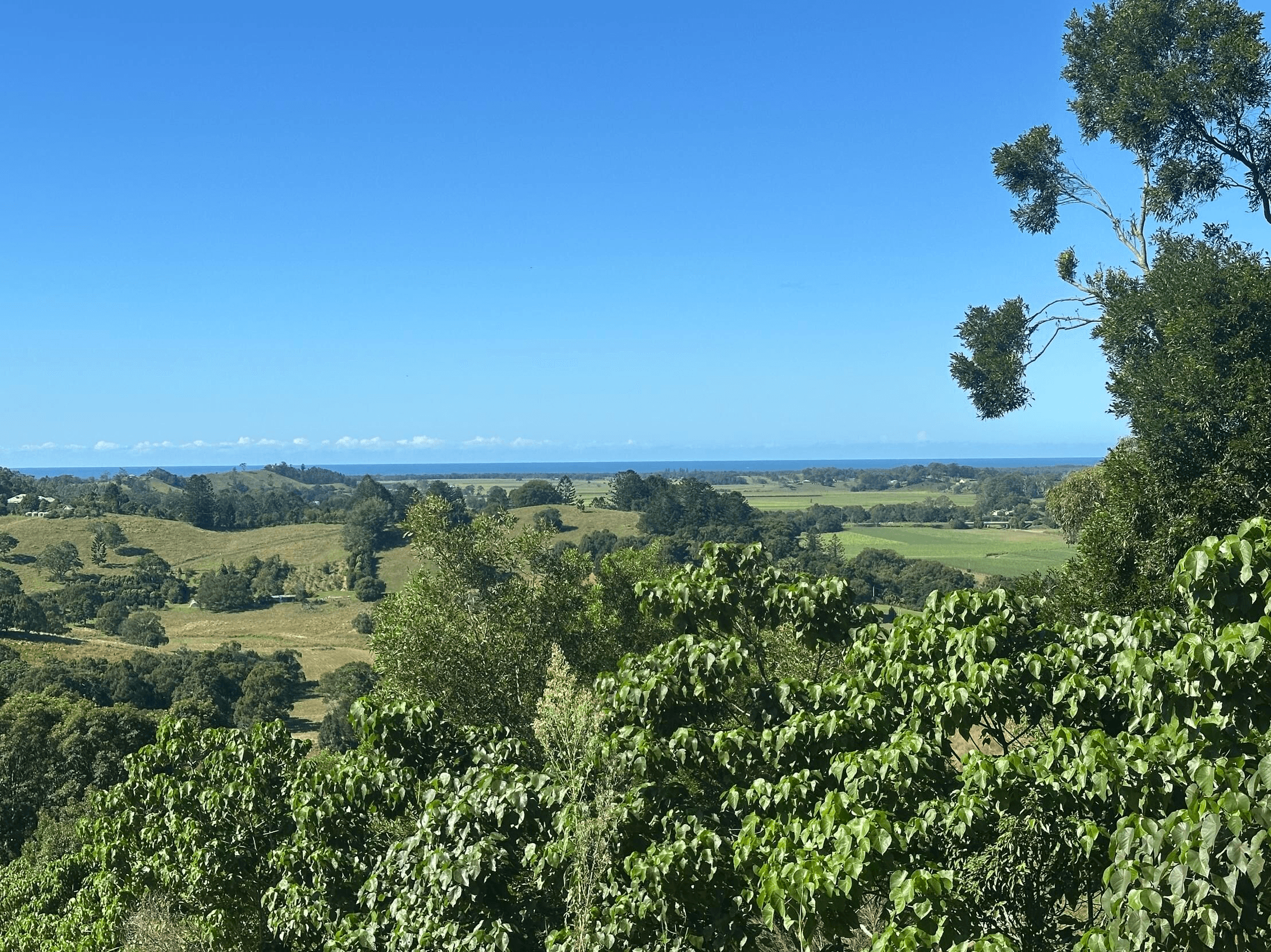 175 Kielys Road, Mooball, NSW 2483