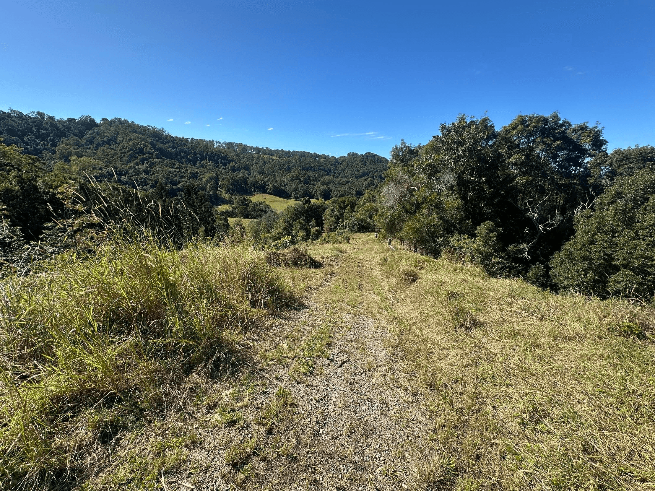 175 Kielys Road, Mooball, NSW 2483