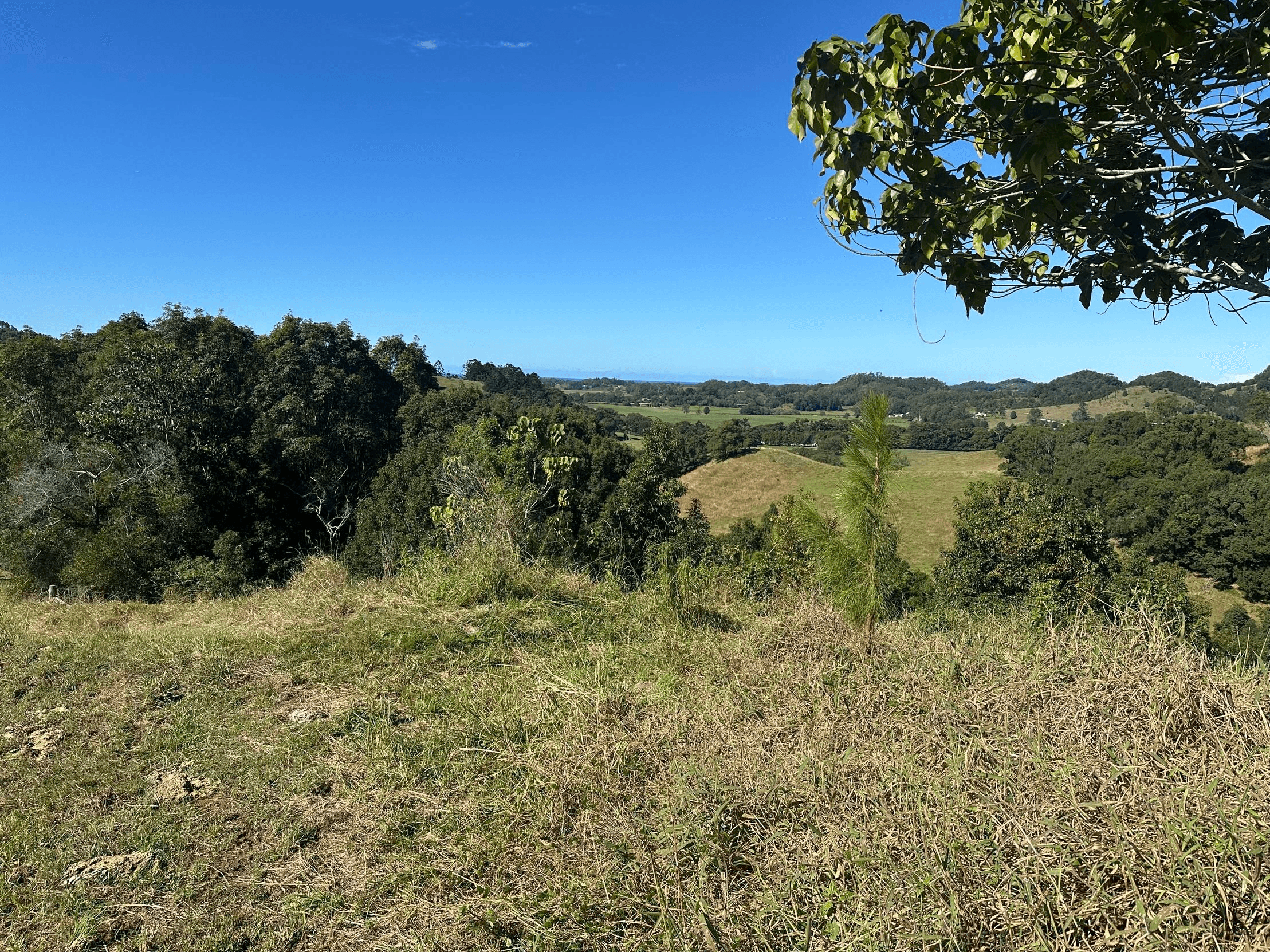 175 Kielys Road, Mooball, NSW 2483