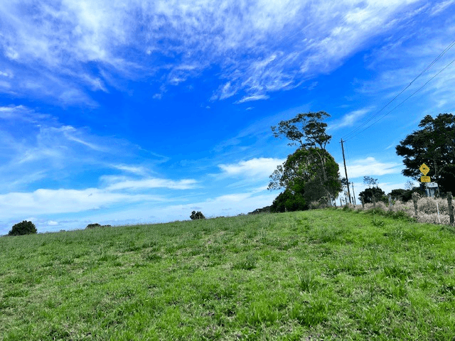 Crn Bridge Creek Rd and Palm Street, MALENY, QLD 4552