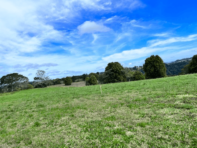 Crn Bridge Creek Rd and Palm Street, MALENY, QLD 4552