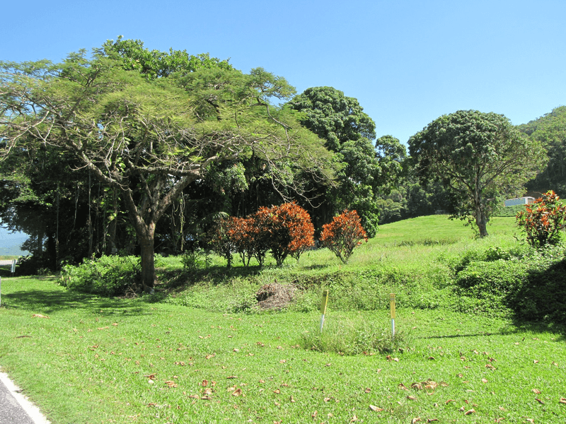 1187 Mossman Daintree Road, ROCKY POINT, QLD 4873