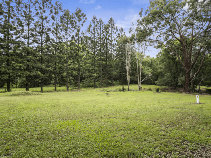 1101 Reserve Creek Road, RESERVE CREEK, NSW 2484