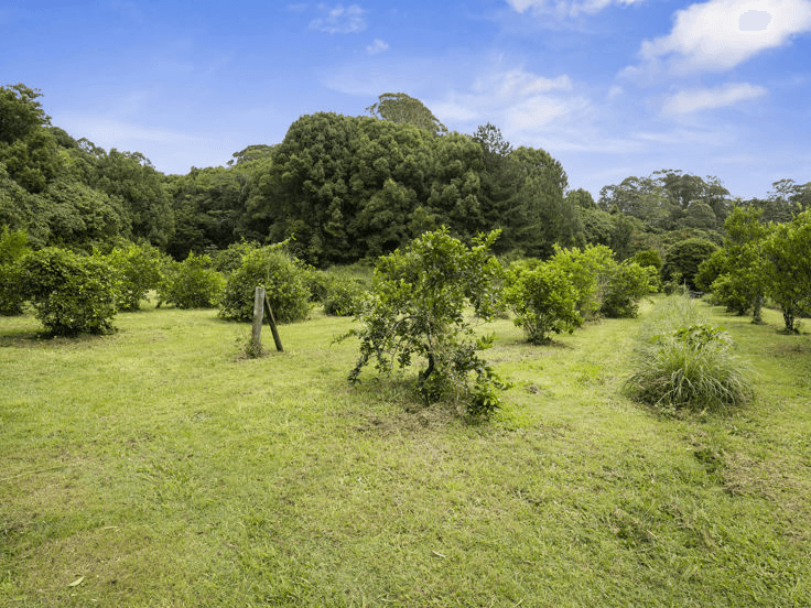 1101 Reserve Creek Road, RESERVE CREEK, NSW 2484