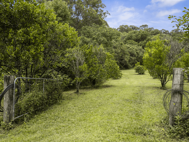 1101 Reserve Creek Road, RESERVE CREEK, NSW 2484