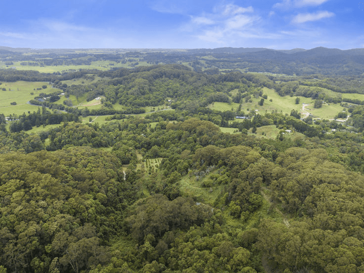 1101 Reserve Creek Road, RESERVE CREEK, NSW 2484